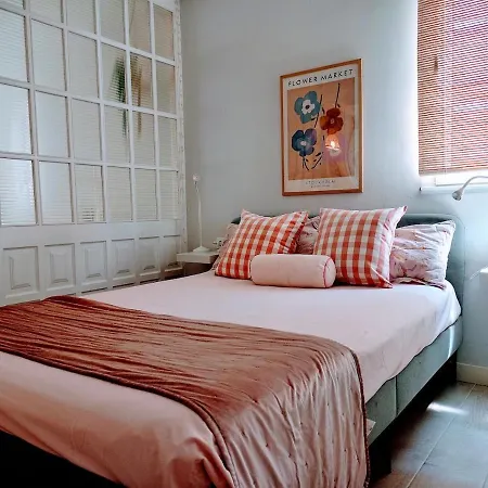 & Cozy Estudio En Centro Viveiro
